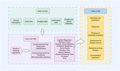 Advancing precision rheumatology: applications of machine learning for rheumatoid arthritis management